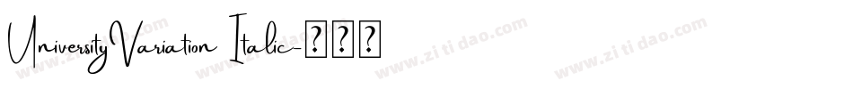 UniversityVariation Italic字体转换